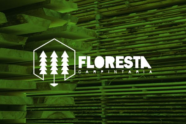 Sem Título-1Prancheta 1