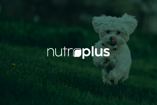 nutroplus